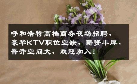 呼和浩特高档商务夜场招聘，豪华KTV职位空缺，薪资丰厚，晋升空间大，欢迎加入！