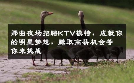 那曲夜场招聘KTV模特，成就你的明星梦想，赚取高薪机会等你来挑战
