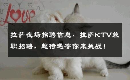 拉萨夜场招聘信息，拉萨KTV兼职招聘，超待遇等你来挑战！