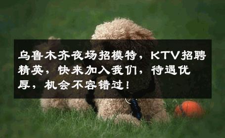 乌鲁木齐夜场招模特，KTV招聘精英，快来加入我们，待遇优厚，机会不容错过！