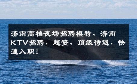 济南高档夜场招聘模特，济南KTV招聘，超资，顶级待遇，快速入职！