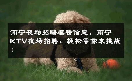 南宁夜场招聘模特信息，南宁KTV夜场招聘，轻松等你来挑战！