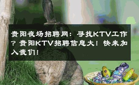 贵阳夜场招聘网：寻找KTV工作？贵阳KTV招聘信息大！快来加入我们！