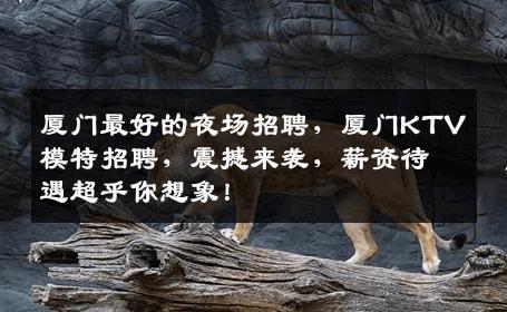 厦门最好的夜场招聘，厦门KTV模特招聘，震撼来袭，薪资待遇超乎你想象！