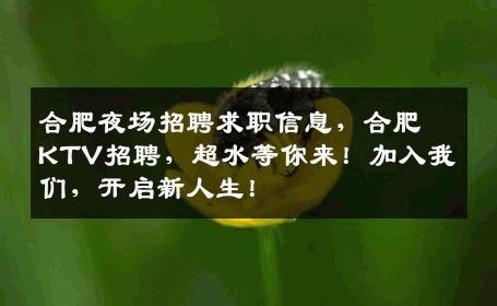 合肥夜场招聘求职信息，合肥KTV招聘，超水等你来！加入我们，开启新人生！