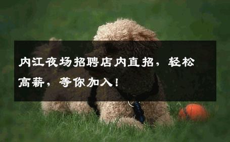 内江夜场招聘店内直招，轻松高薪，等你加入！