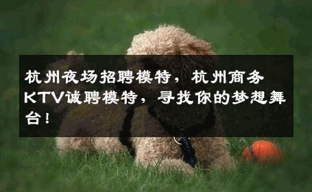 杭州夜场招聘模特，杭州商务KTV诚聘模特，寻找你的梦想舞台！
