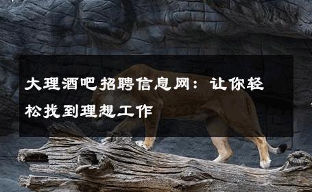 大理酒吧招聘信息网：让你轻松找到理想工作