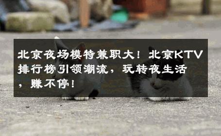 北京夜场模特兼职大！北京KTV排行榜引领潮流，玩转夜生活，赚不停！