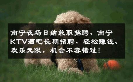 南宁夜场日结兼职招聘，南宁KTV酒吧长期招聘，轻松赚钱、欢乐无限，机会不容错过！