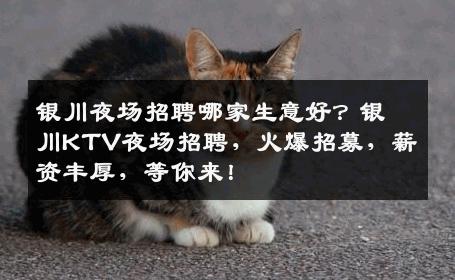 银川夜场招聘哪家生意好？银川KTV夜场招聘，火爆招募，薪资丰厚，等你来！