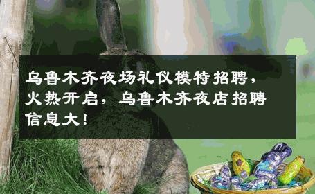 乌鲁木齐夜场礼仪模特招聘，火热开启，乌鲁木齐夜店招聘信息大！