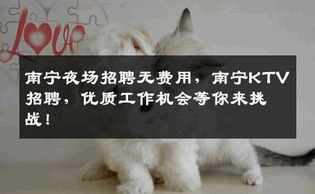 南宁夜场招聘无费用，南宁KTV招聘，优质工作机会等你来挑战！