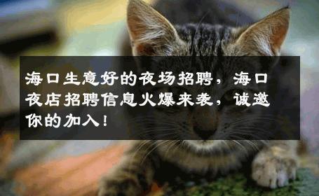 海口生意好的夜场招聘，海口夜店招聘信息火爆来袭，诚邀你的加入！