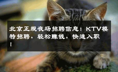 北京正规夜场招聘信息：KTV模特招聘，轻松赚钱，快速入职！