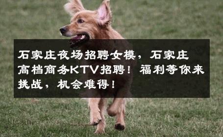 石家庄夜场招聘女模，石家庄高档商务KTV招聘！福利等你来挑战，机会难得！