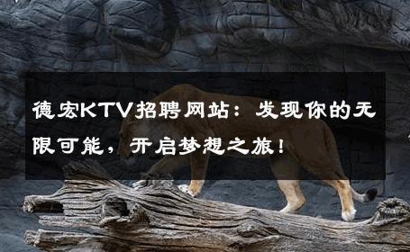 德宏KTV招聘网站：发现你的无限可能，开启梦想之旅！