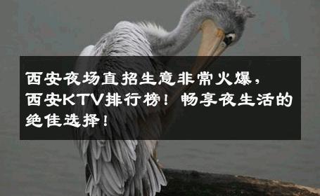西安夜场直招生意非常火爆，西安KTV排行榜！畅享夜生活的绝佳选择！