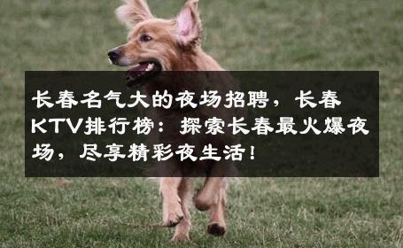 长春名气大的夜场招聘，长春KTV排行榜：探索长春最火爆夜场，尽享精彩夜生活！