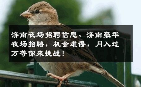 济南夜场招聘信息，济南豪华夜场招聘，机会难得，月入过万等你来挑战！
