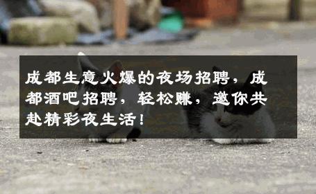 成都生意火爆的夜场招聘，成都酒吧招聘，轻松赚，邀你共赴精彩夜生活！
