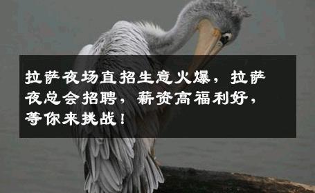 拉萨夜场直招生意火爆，拉萨夜总会招聘，薪资高福利好，等你来挑战！
