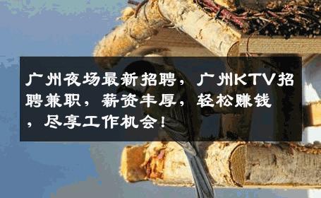 广州夜场最新招聘，广州KTV招聘兼职，薪资丰厚，轻松赚钱，尽享工作机会！