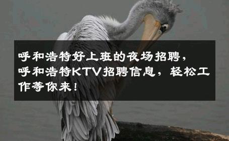 呼和浩特好上班的夜场招聘，呼和浩特KTV招聘信息，轻松工作等你来！