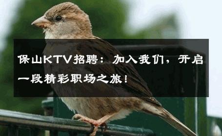 保山KTV招聘：加入我们，开启一段精彩职场之旅！