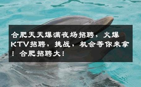 合肥天天爆满夜场招聘，火爆KTV招聘，挑战，机会等你来拿！合肥招聘大！