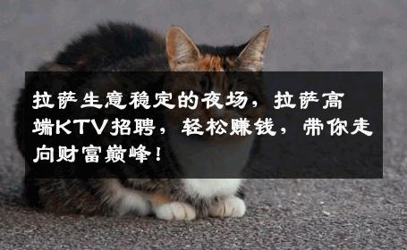 拉萨生意稳定的夜场，拉萨高端KTV招聘，轻松赚钱，带你走向财富巅峰！