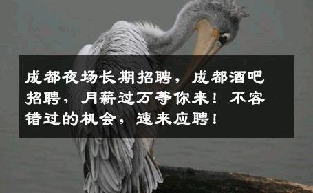 成都夜场长期招聘，成都酒吧招聘，月薪过万等你来！不容错过的机会，速来应聘！