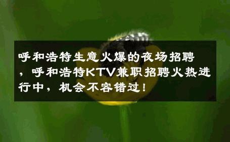 呼和浩特生意火爆的夜场招聘，呼和浩特KTV兼职招聘火热进行中，机会不容错过！