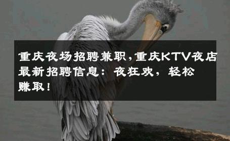 重庆夜场招聘兼职,重庆KTV夜店最新招聘信息：夜狂欢，轻松赚取！