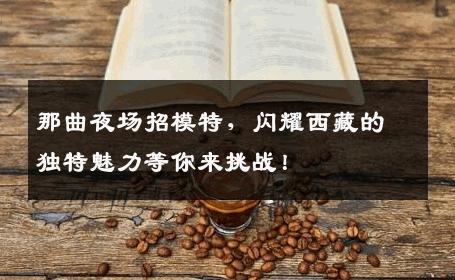 那曲夜场招模特，闪耀西藏的独特魅力等你来挑战！