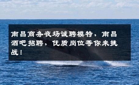南昌商务夜场诚聘模特，南昌酒吧招聘，优质岗位等你来挑战！