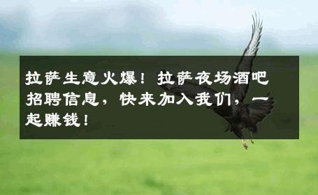 拉萨生意火爆！拉萨夜场酒吧招聘信息，快来加入我们，一起赚钱！