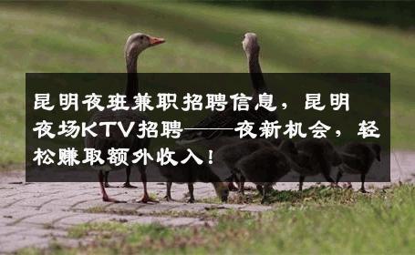 昆明夜班兼职招聘信息，昆明夜场KTV招聘——夜新机会，轻松赚取额外收入！