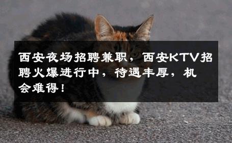 西安夜场招聘兼职，西安KTV招聘火爆进行中，待遇丰厚，机会难得！