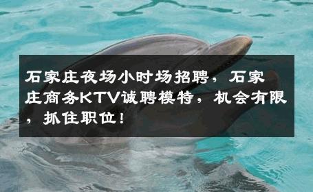 石家庄夜场小时场招聘，石家庄商务KTV诚聘模特，机会有限，抓住职位！