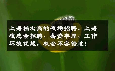 上海档次高的夜场招聘，上海夜总会招聘，薪资丰厚，工作环境优越，机会不容错过！