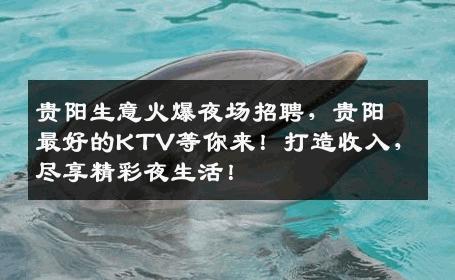 贵阳生意火爆夜场招聘，贵阳最好的KTV等你来！打造收入，尽享精彩夜生活！