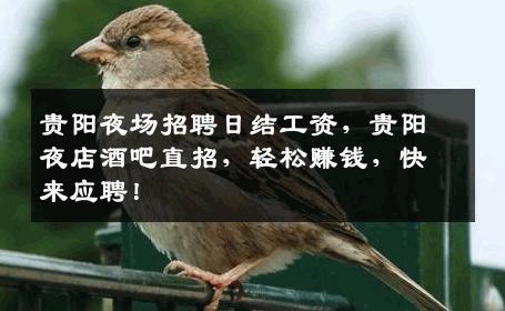 贵阳夜场招聘日结工资，贵阳夜店酒吧直招，轻松赚钱，快来应聘！