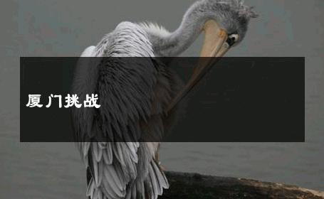 厦门挑战