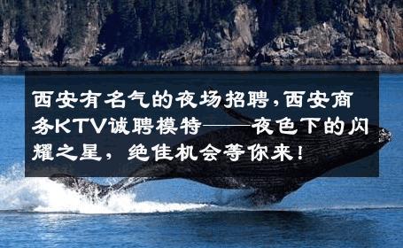 西安有名气的夜场招聘,西安商务KTV诚聘模特——夜色下的闪耀之星，绝佳机会等你来！