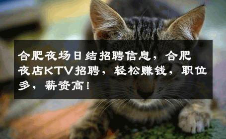 合肥夜场日结招聘信息，合肥夜店KTV招聘，轻松赚钱，职位多，薪资高！