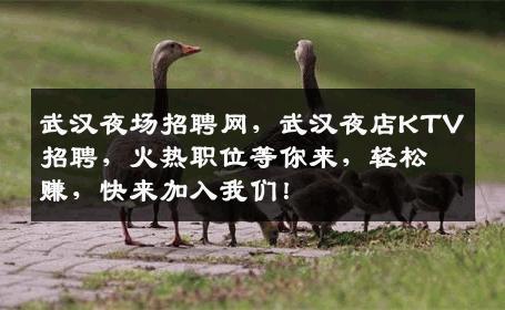武汉夜场招聘网，武汉夜店KTV招聘，火热职位等你来，轻松赚，快来加入我们！