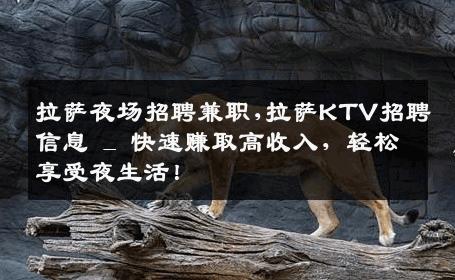 拉萨夜场招聘兼职,拉萨KTV招聘信息 _ 快速赚取高收入，轻松享受夜生活！