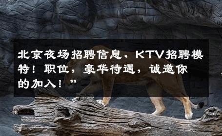 北京夜场招聘信息，KTV招聘模特！职位，豪华待遇，诚邀你的加入！”