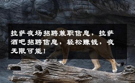 拉萨夜场招聘兼职信息，拉萨酒吧招聘信息，轻松赚钱，夜无限可能！